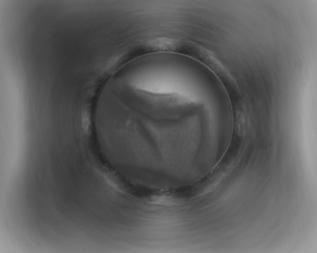 X0000113300259200909141253