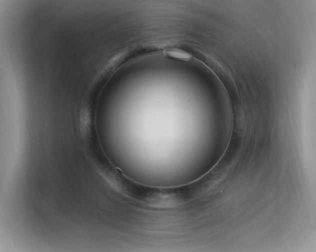 X0000113300260200909141253