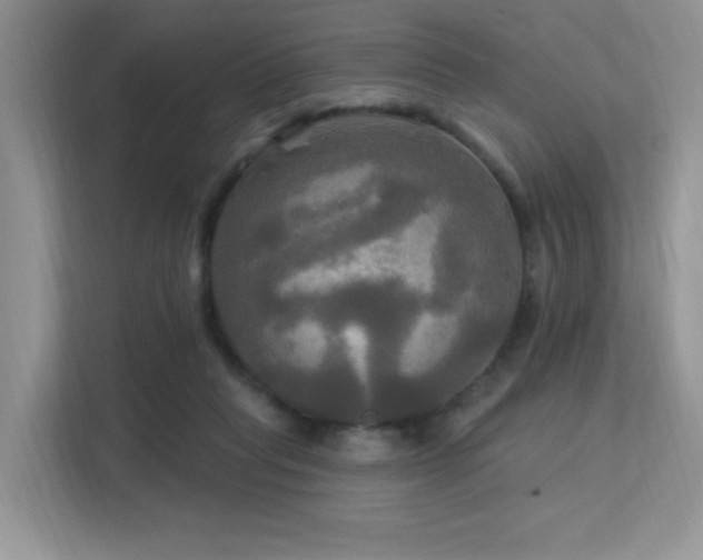 X0000113300261200909141253