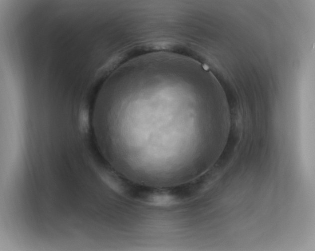 X0000113300262200909141253