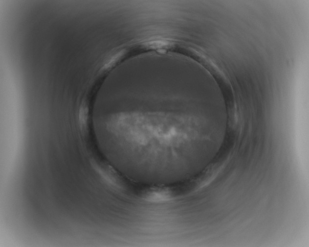 X0000113300263200909141253