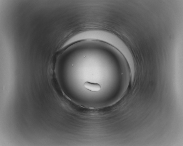 X0000113300264200909141253