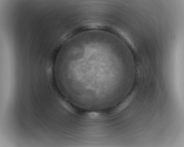 X0000113300265200909141253