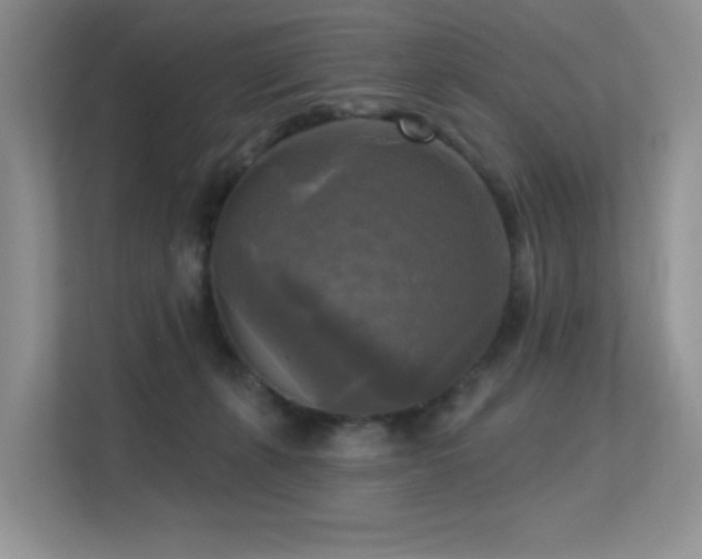 X0000113300271200909141253