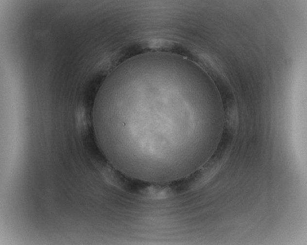 X0000113300272200909141253