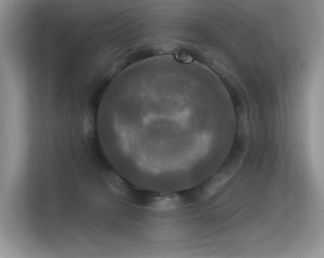 X0000113300274200909141253