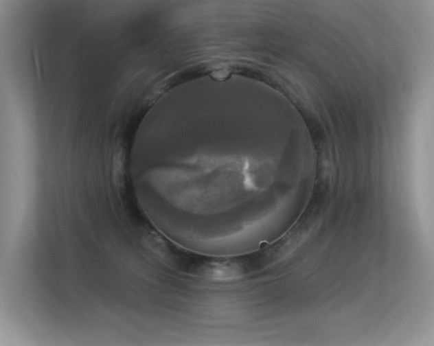 X0000113300275200909141253