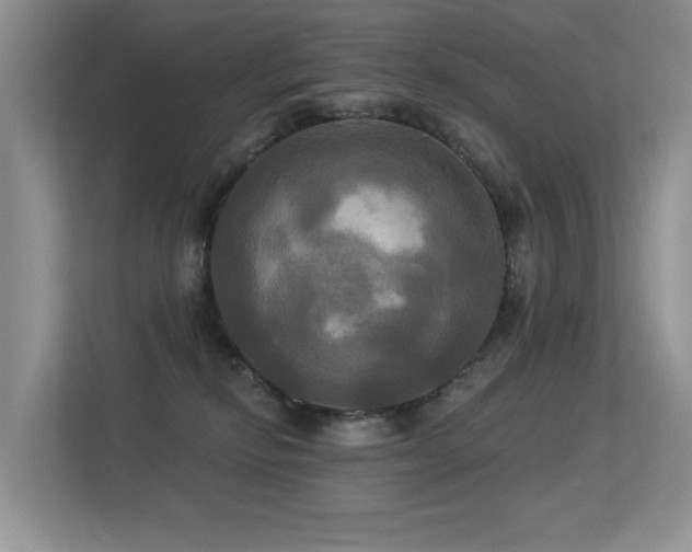 X0000113300278200909141253