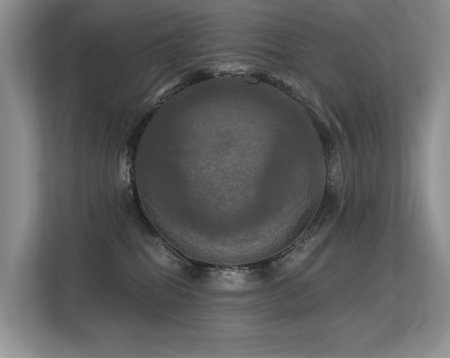 X0000113300282200909141253