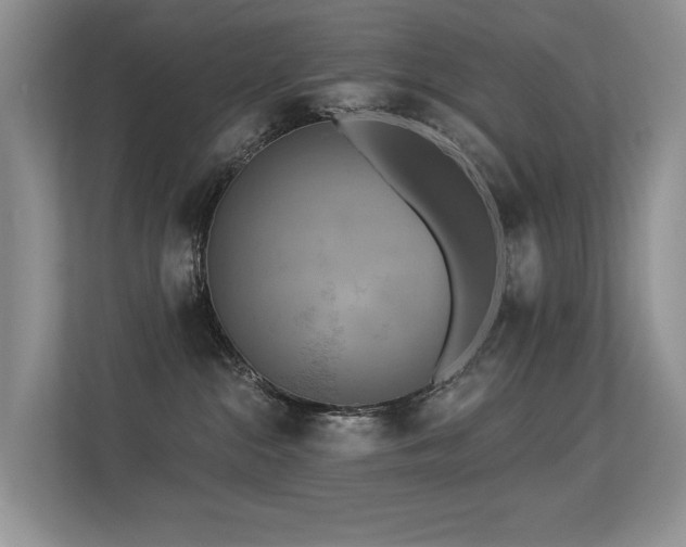 X0000113300284200909141253