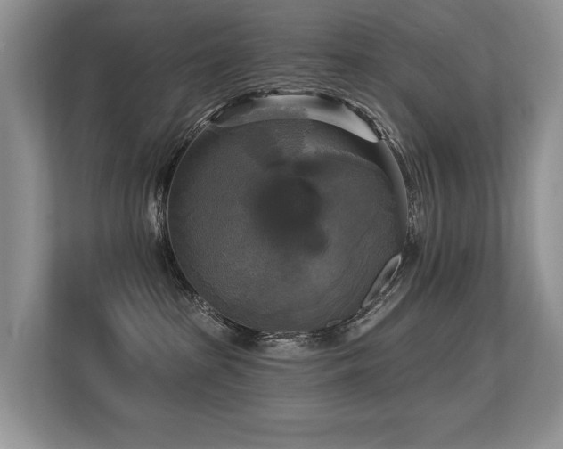 X0000113300285200909141253