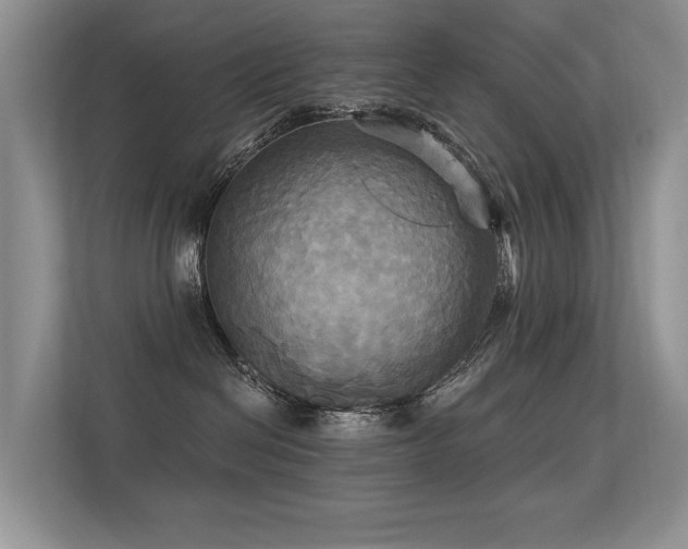 X0000113300286200909141253