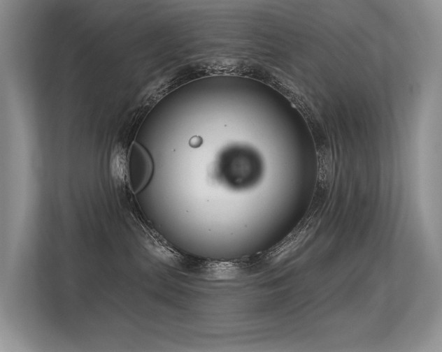 X0000113300287200909141253