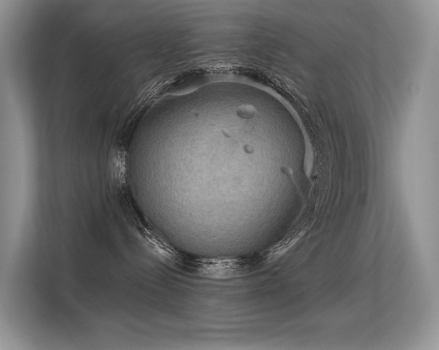 X0000113300288200909141253