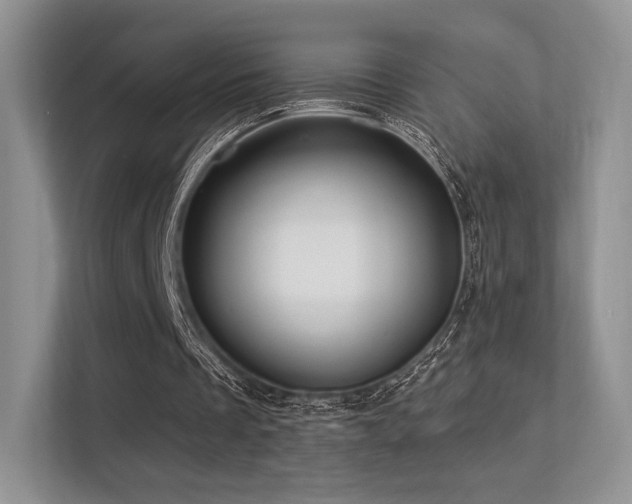 X0000113300289200909141253