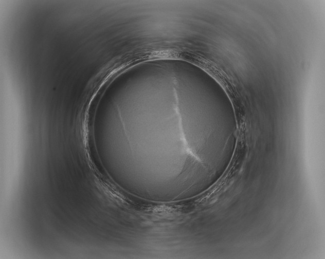 X0000113300290200909141253