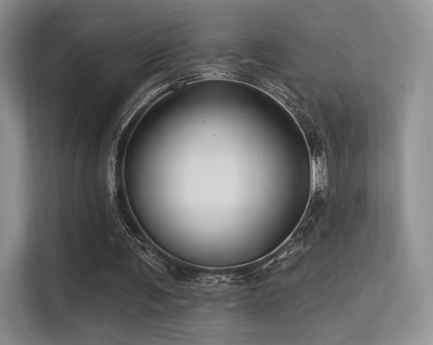 X0000113300291200909141253