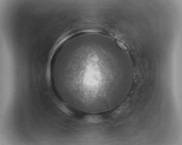 X0000113300296200909141253