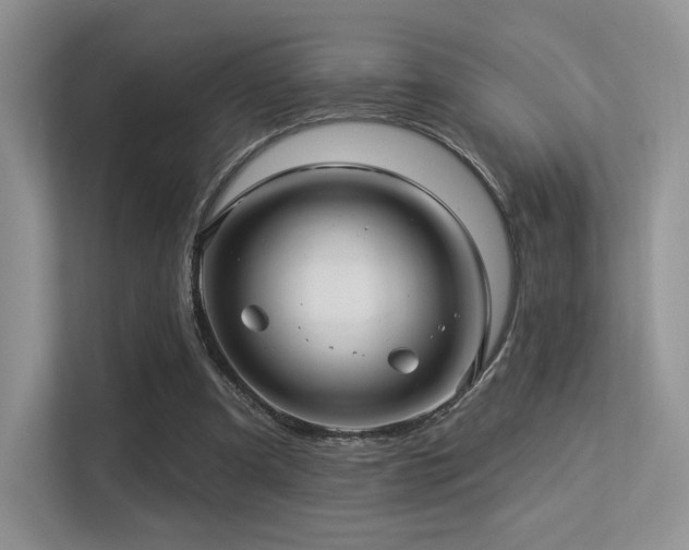 X0000113300297200909141253