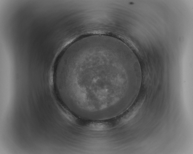 X0000113300299200909141253