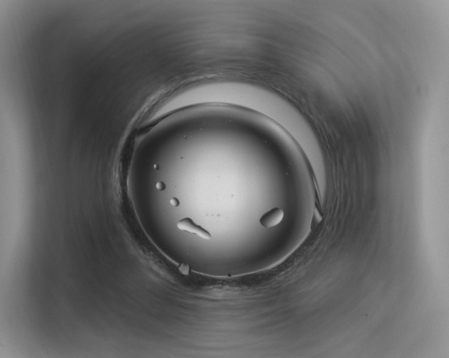 X0000113300300200909141253