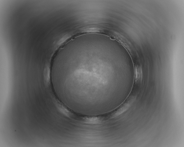 X0000113300301200909141253