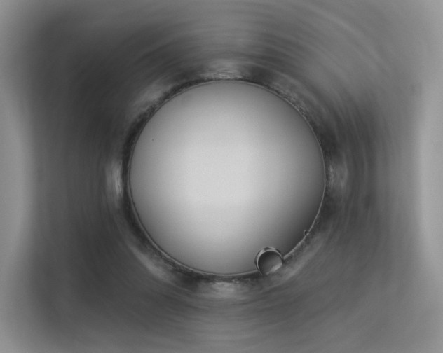 X0000113300302200909141253