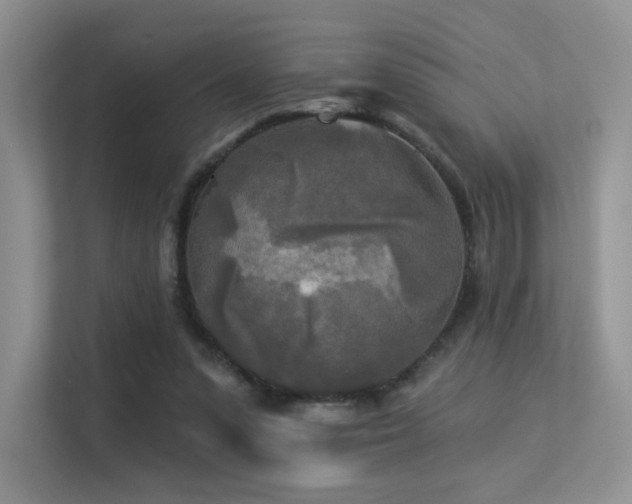 X0000113300303200909141253