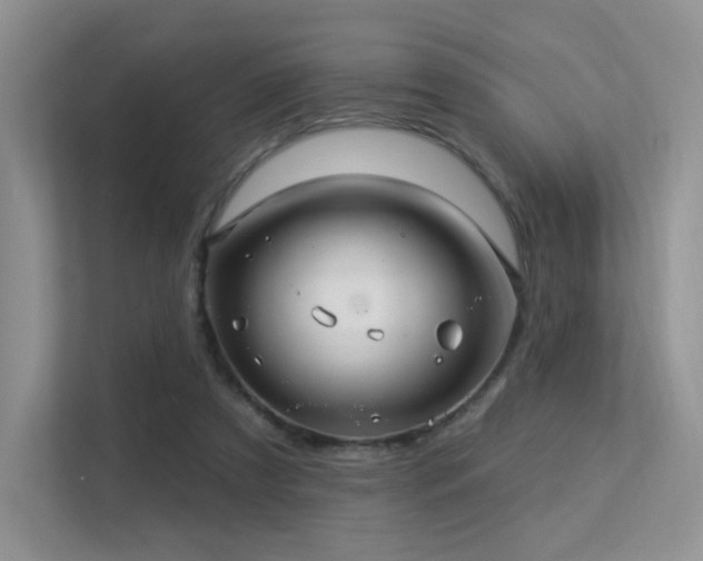 X0000113300305200909141253