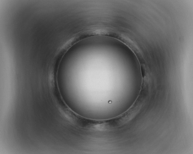 X0000113300306200909141253