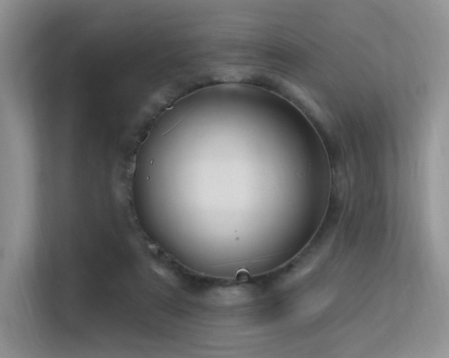 X0000113300307200909141253