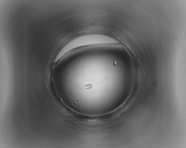 X0000113300309200909141253