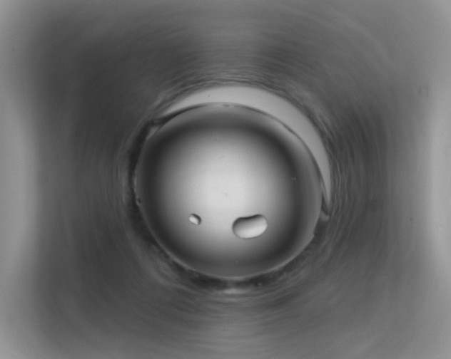 X0000113300312200909141252