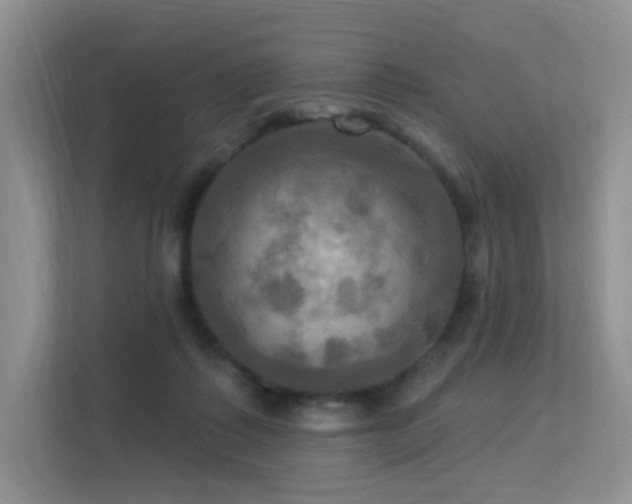 X0000113300315200909141252