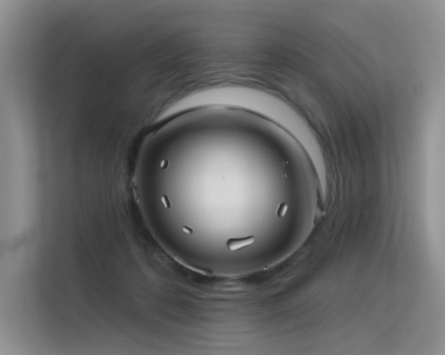 X0000113300316200909141252