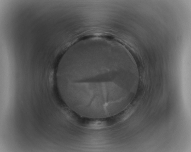 X0000113300319200909141252