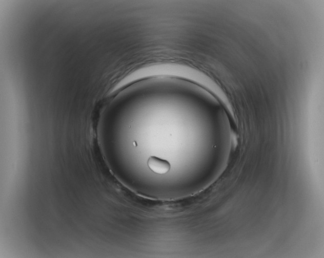 X0000113300320200909141252