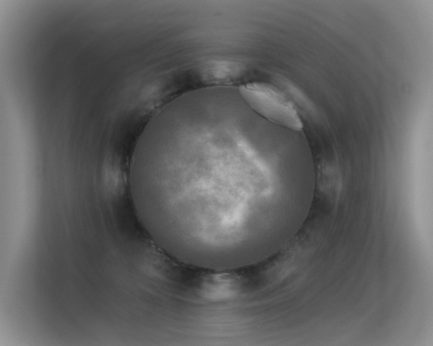 X0000113300324200909141252