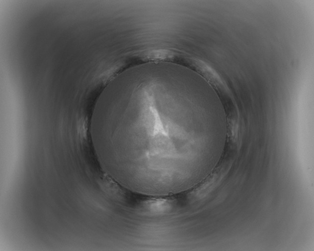 X0000113300326200909141252