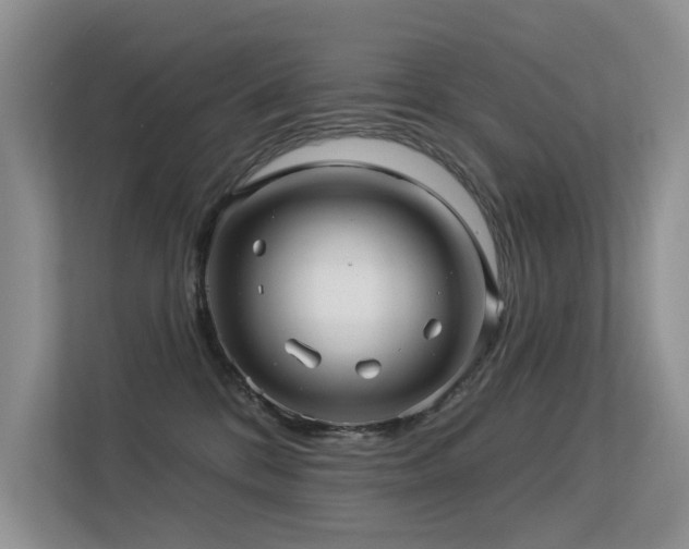 X0000113300328200909141252