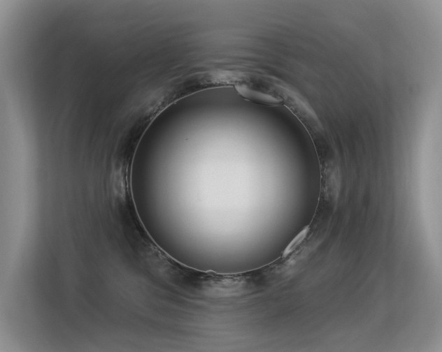 X0000113300329200909141252