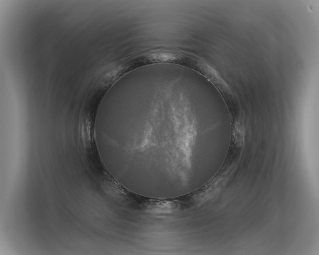 X0000113300330200909141252