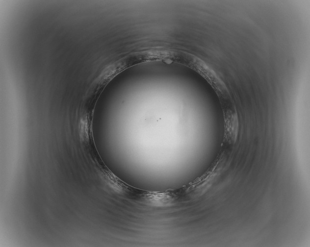 X0000113300333200909141252