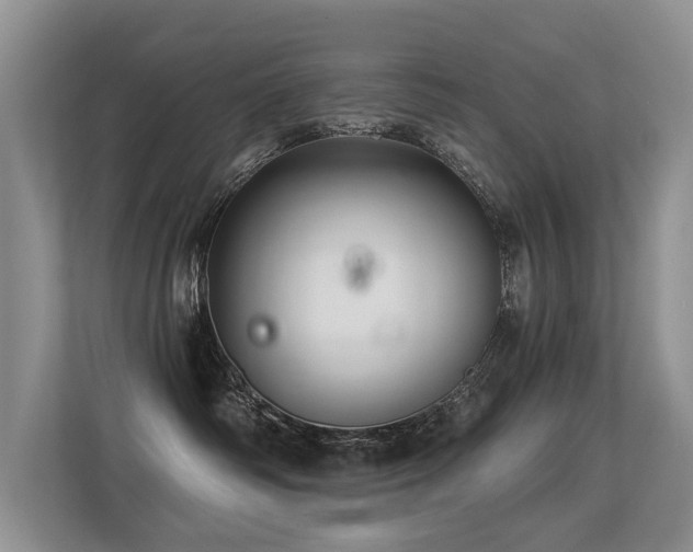 X0000113300334200909141252