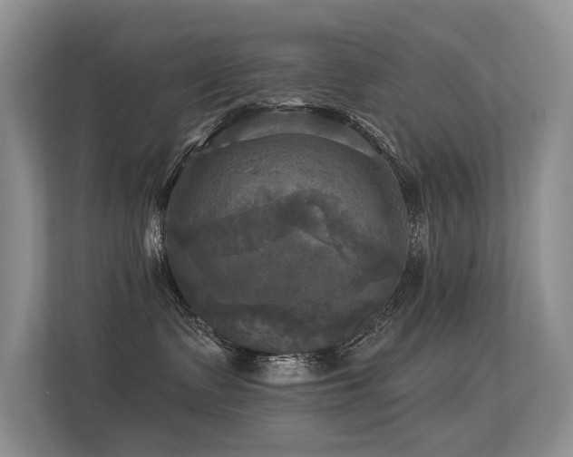 X0000113300335200909141252