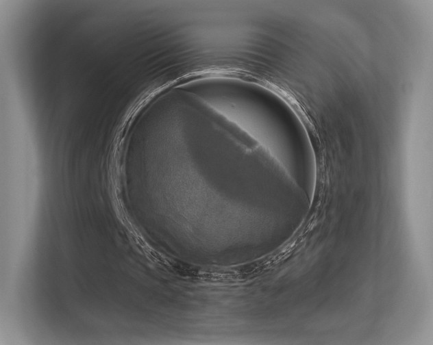 X0000113300337200909141252