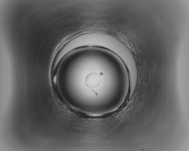 X0000113300340200909141252