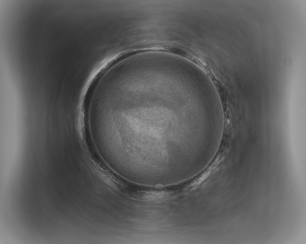 X0000113300342200909141252