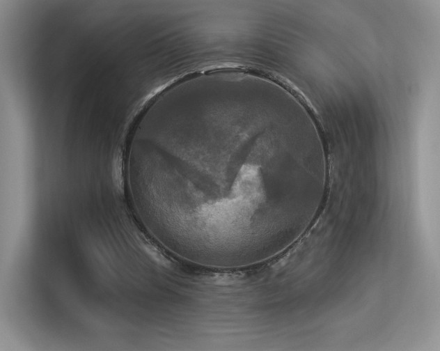 X0000113300345200909141252