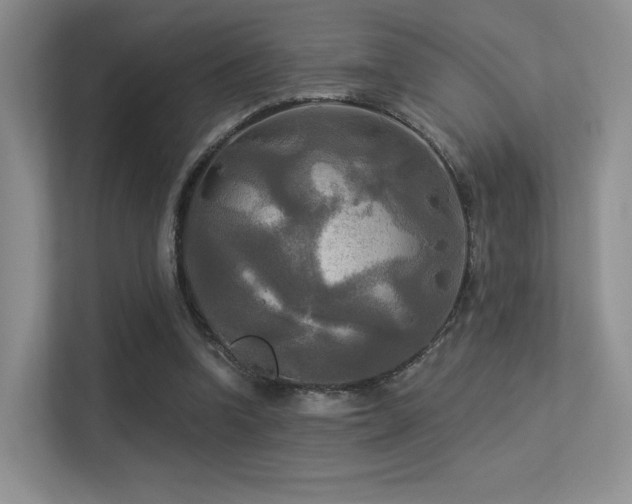 X0000113300346200909141252